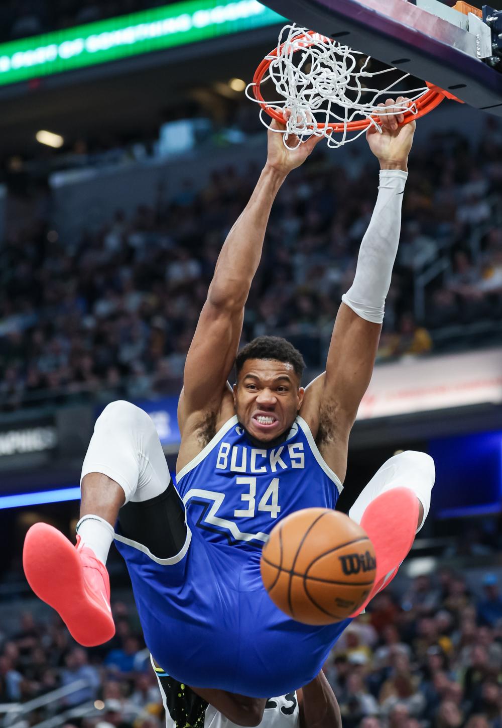 他不仅要应 他不仅要应